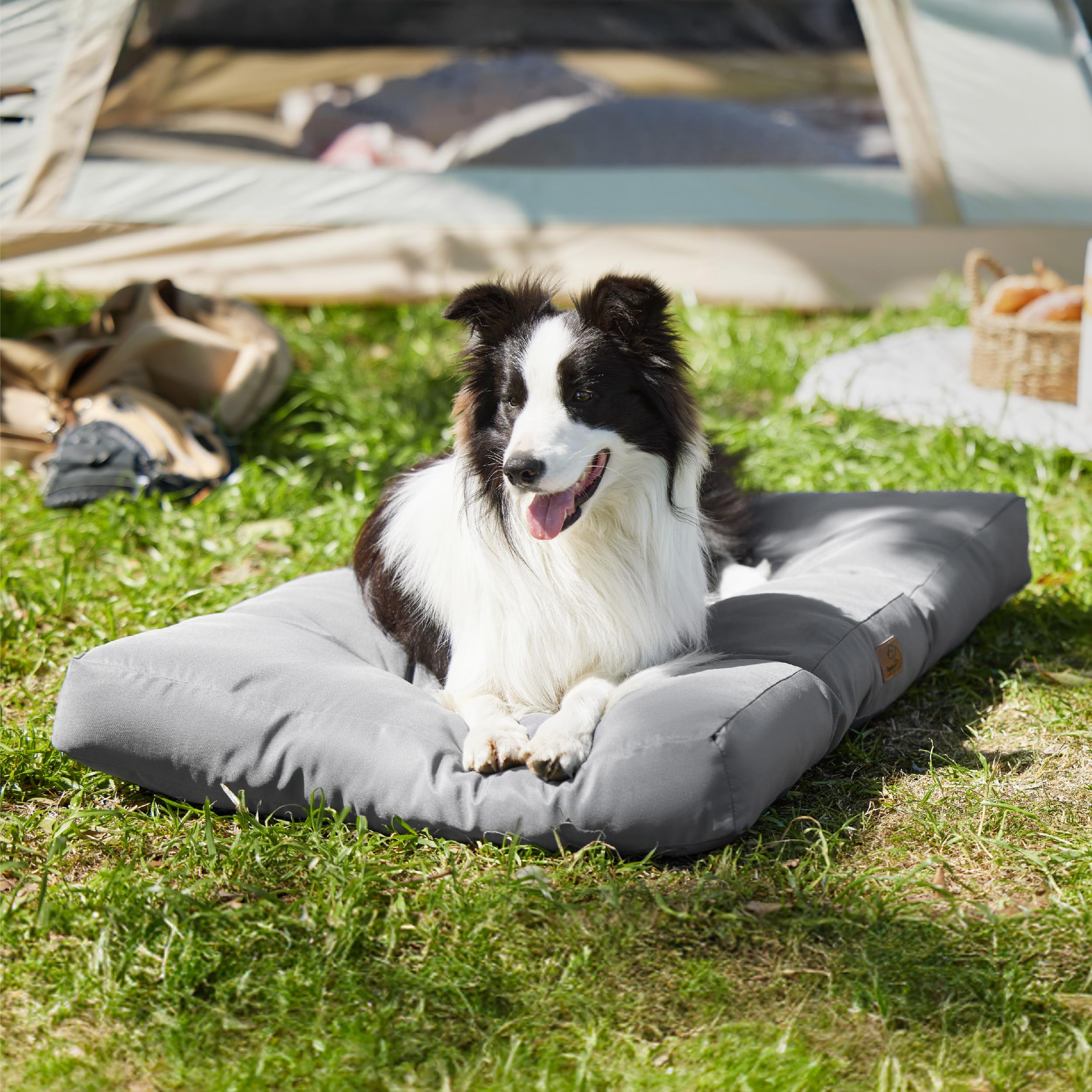 Cospaws Washable Large Dog Mat – Flat Water-Resistant Oxford Cushion (91x68cm)