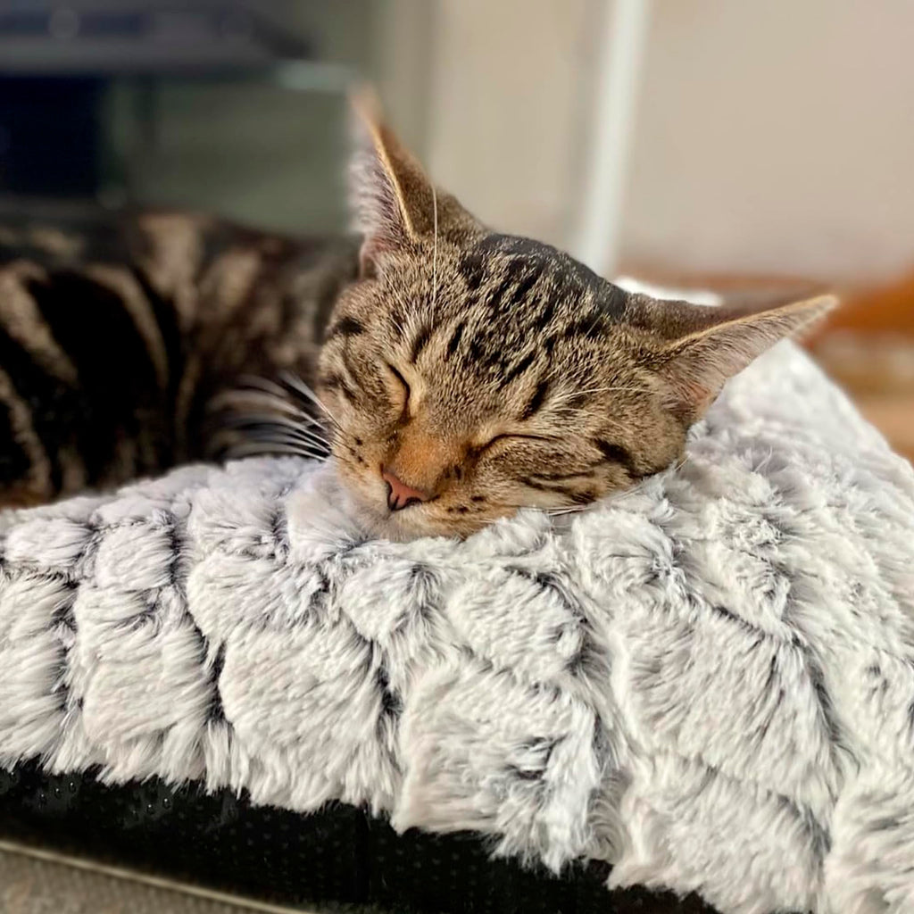 Cospaws Self-Heating Pet Pad – Washable White Thermal Blanket (60x45cm)