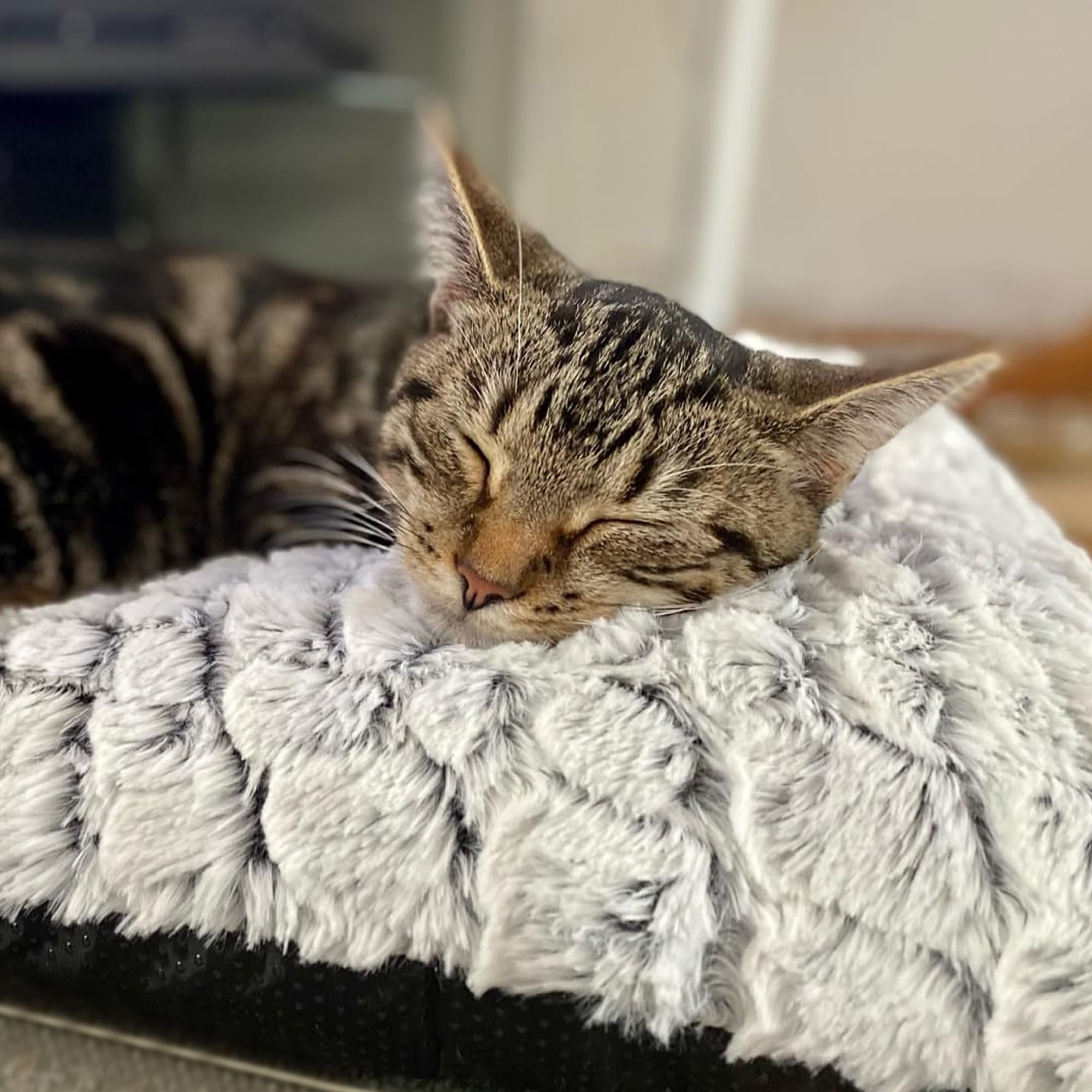 Cospaws Self-Heating Pet Pad – Washable White Thermal Blanket (60x45cm)