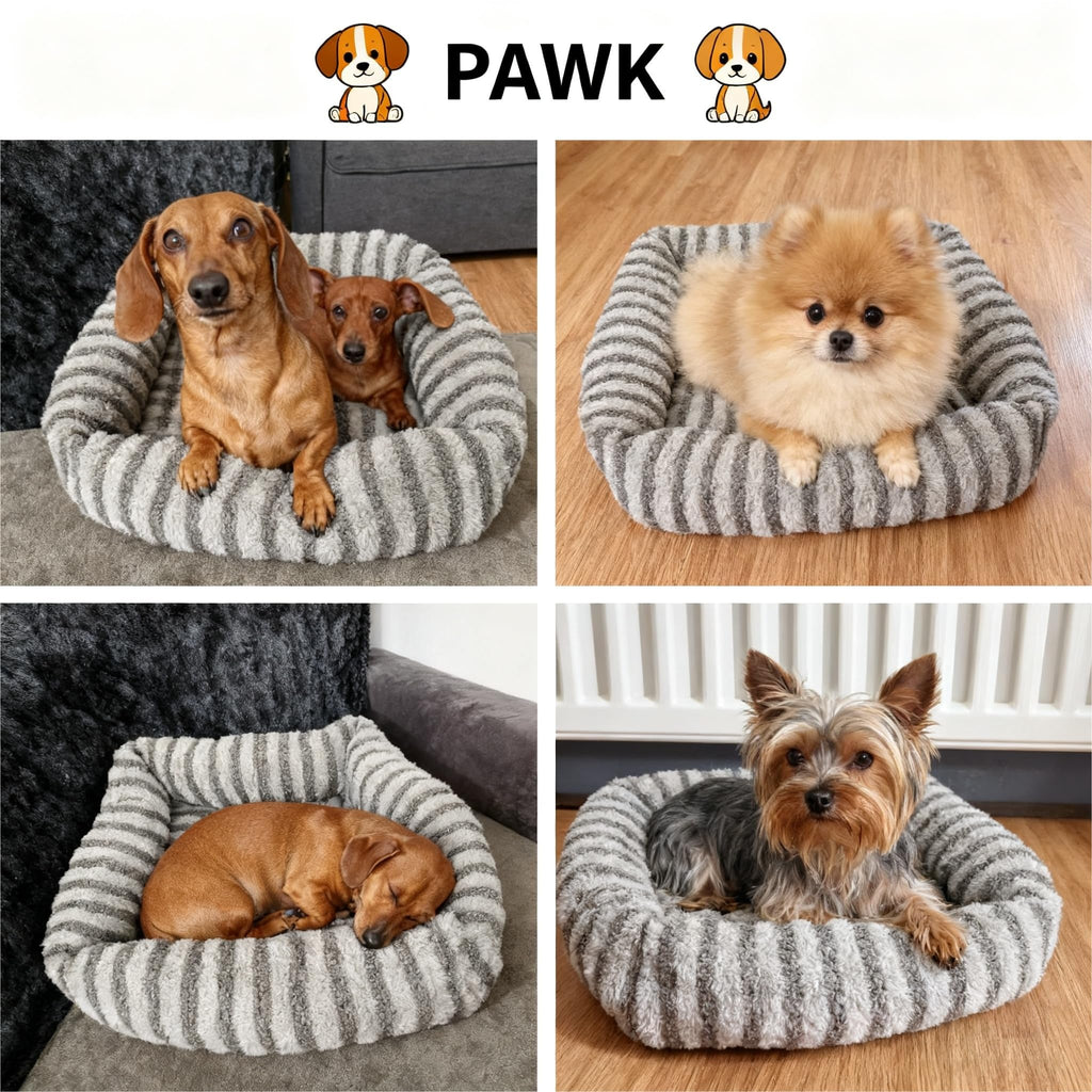 Cospaws Orthopedic Dog Sofa – Washable Teddy Plush with Memory Foam (63x53cm)